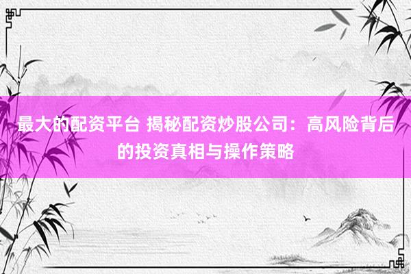 最大的配资平台 揭秘配资炒股公司：高风险背后的投资真相与操作策略