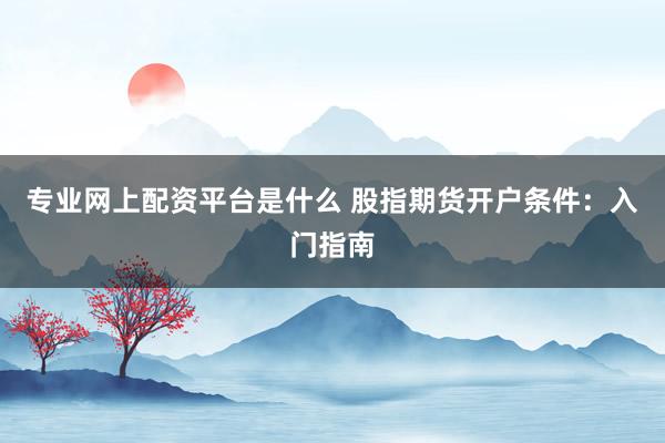 专业网上配资平台是什么 股指期货开户条件：入门指南