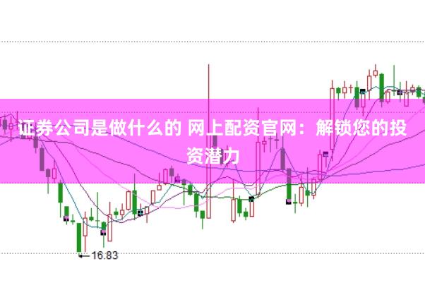 证券公司是做什么的 网上配资官网：解锁您的投资潜力