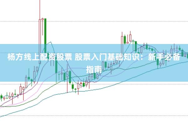 杨方线上配资股票 股票入门基础知识：新手必备指南