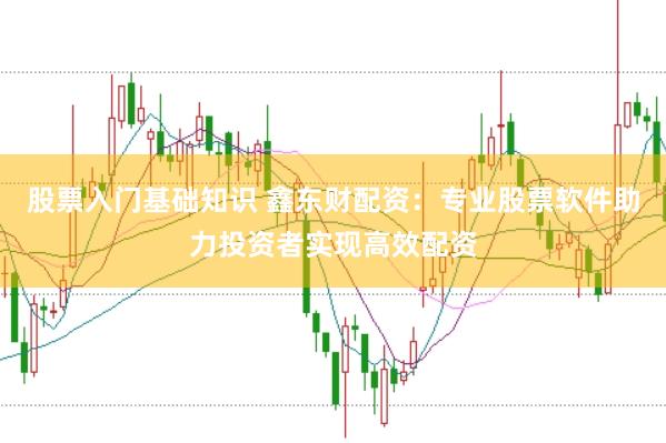 股票入门基础知识 鑫东财配资：专业股票软件助力投资者实现高效配资