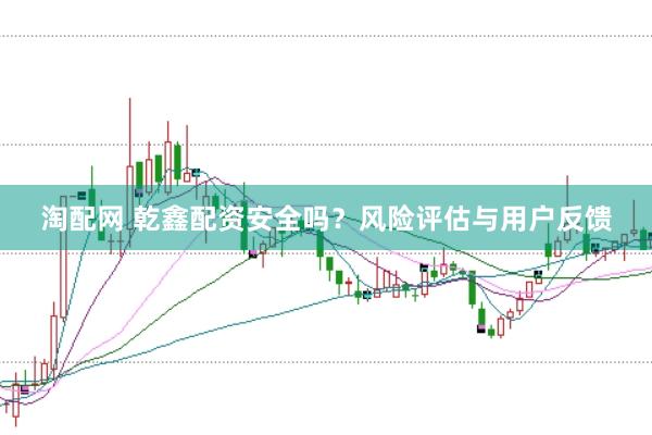 淘配网 乾鑫配资安全吗？风险评估与用户反馈