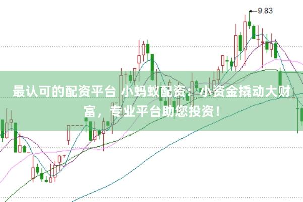 最认可的配资平台 小蚂蚁配资：小资金撬动大财富，专业平台助您投资！