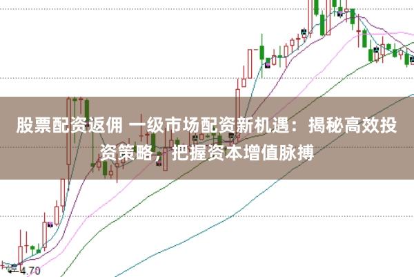 股票配资返佣 一级市场配资新机遇：揭秘高效投资策略，把握资本增值脉搏