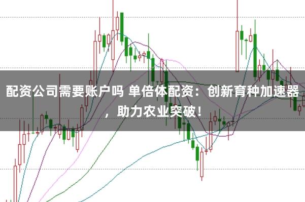 配资公司需要账户吗 单倍体配资：创新育种加速器，助力农业突破！