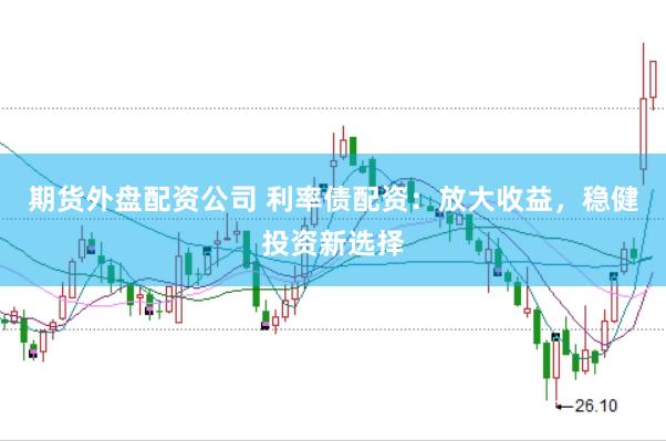 期货外盘配资公司 利率债配资：放大收益，稳健投资新选择