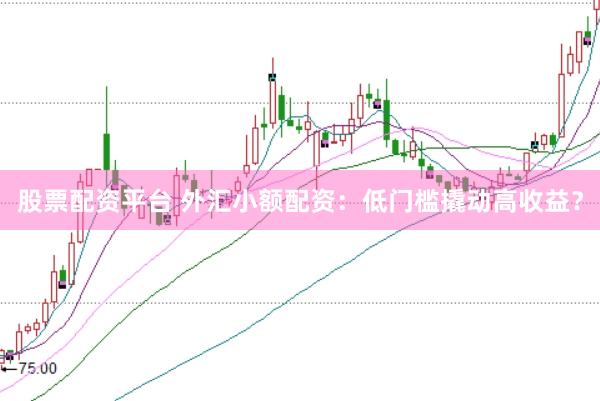 股票配资平台 外汇小额配资：低门槛撬动高收益？