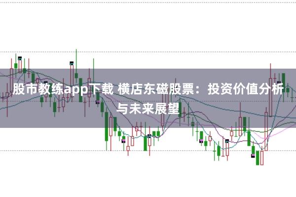 股市教练app下载 横店东磁股票：投资价值分析与未来展望