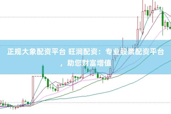 正规大象配资平台 旺润配资：专业股票配资平台，助您财富增值