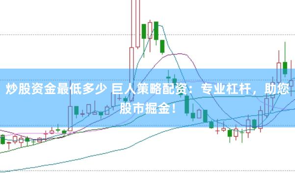 炒股资金最低多少 巨人策略配资：专业杠杆，助您股市掘金！