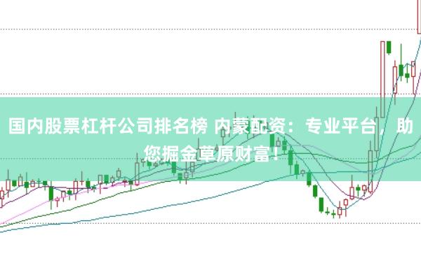 国内股票杠杆公司排名榜 内蒙配资：专业平台，助您掘金草原财富！