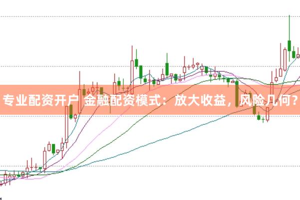 专业配资开户 金融配资模式:放大收益,风险几何?